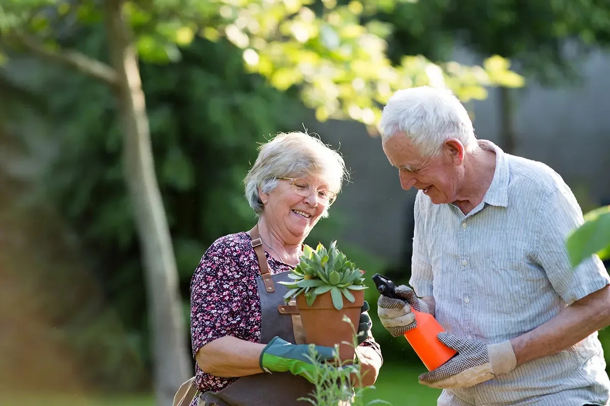 Elderlycouple gardening